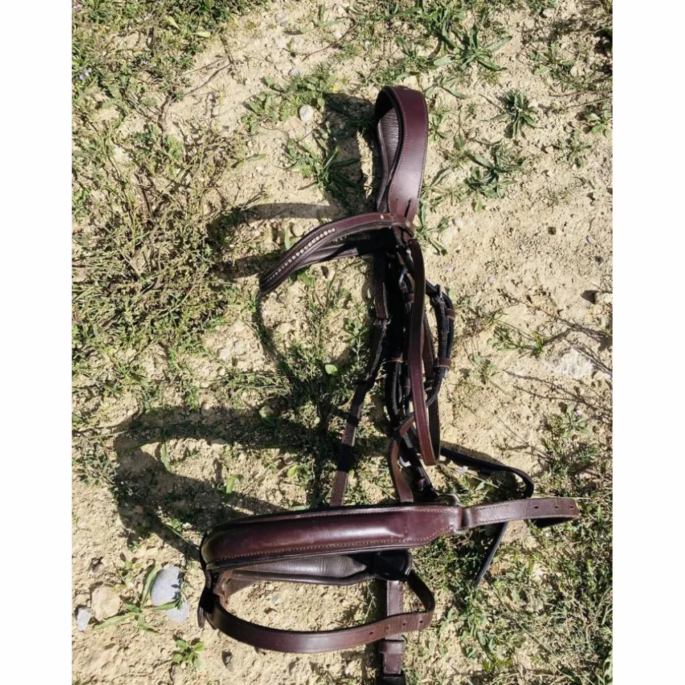Bridon taille cheval Fouganza
