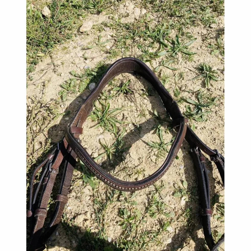 Bridon taille cheval Fouganza