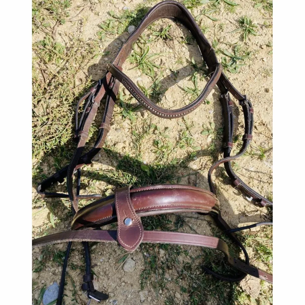 Bridon taille cheval Fouganza