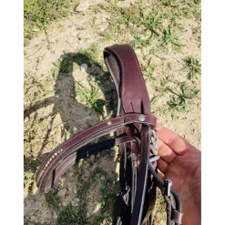 Bridon taille cheval Fouganza