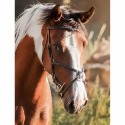 Bridon time rider muserolle croisé