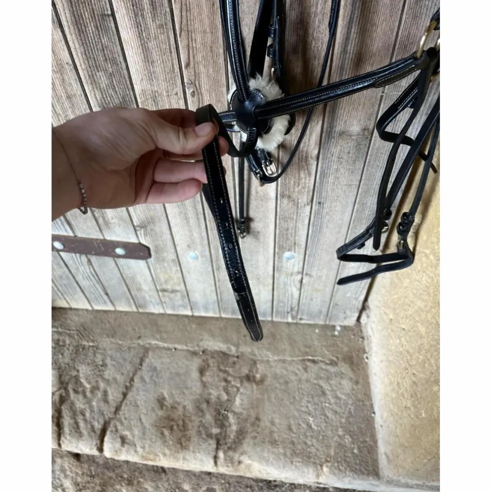 Bridon time rider muserolle croisé