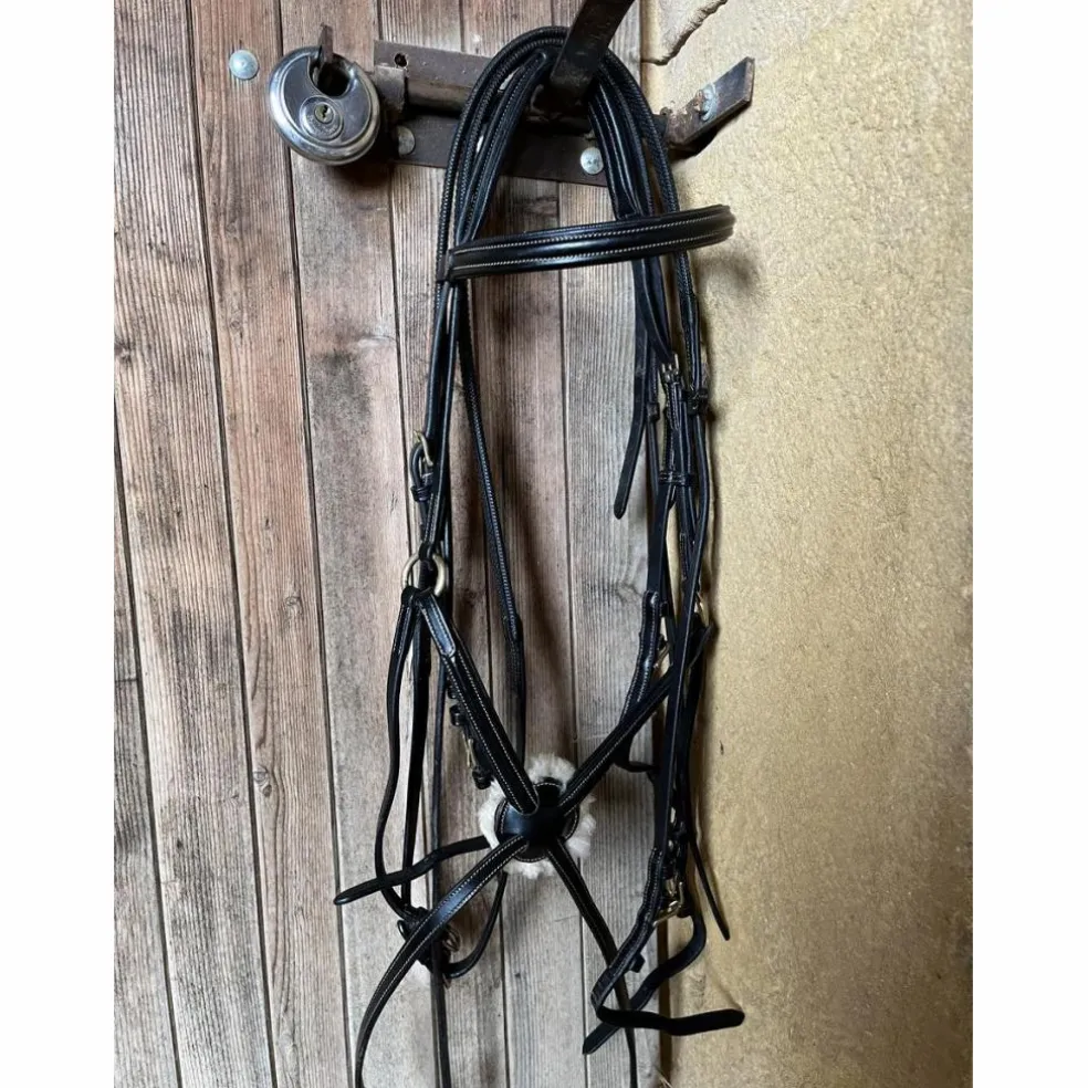 Bridon time rider muserolle croisé