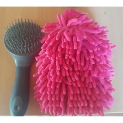 Brosse à crins et gant de massage
