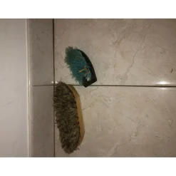 Brosses pansage