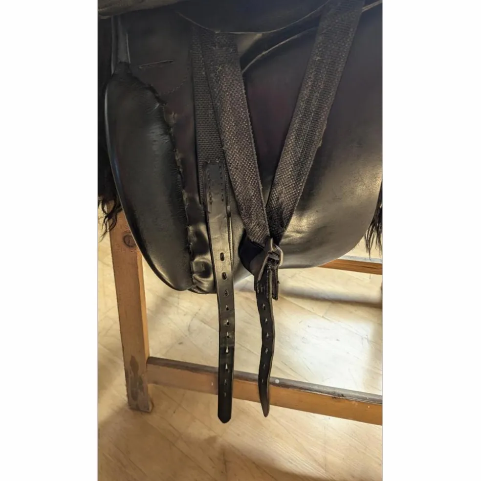 Busse Hafnir Selle de Tölt