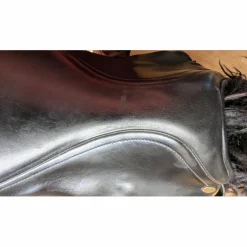 Busse Hafnir Selle de Tölt