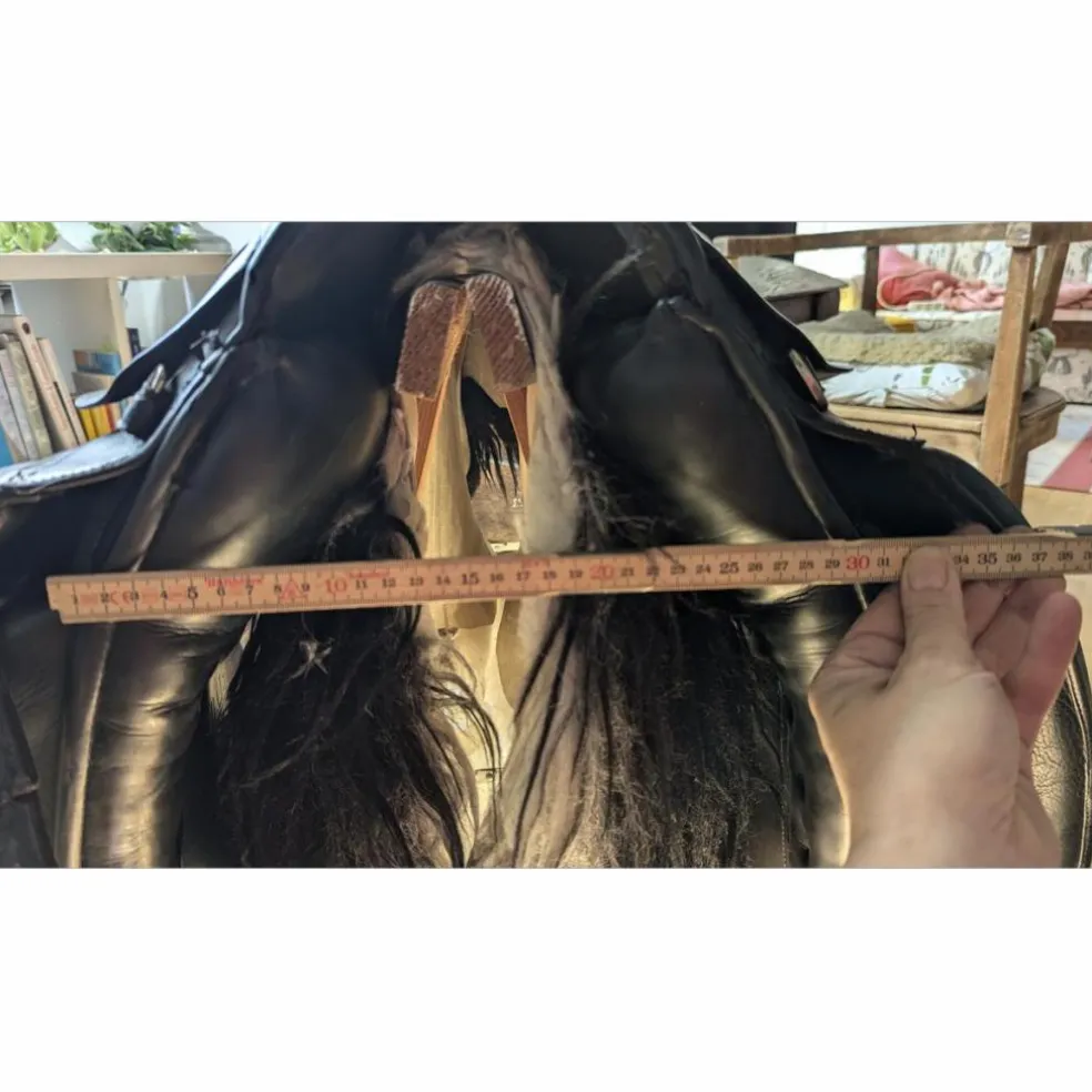 Busse Hafnir Selle de Tölt