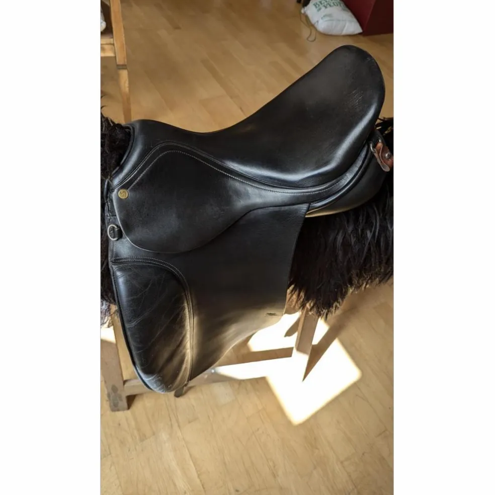 Busse Hafnir Selle de Tölt
