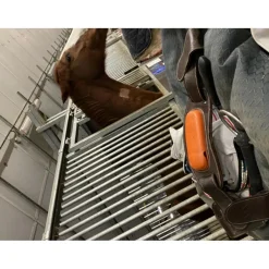 Capteur Motion Equisense + Sangle pour Cheval