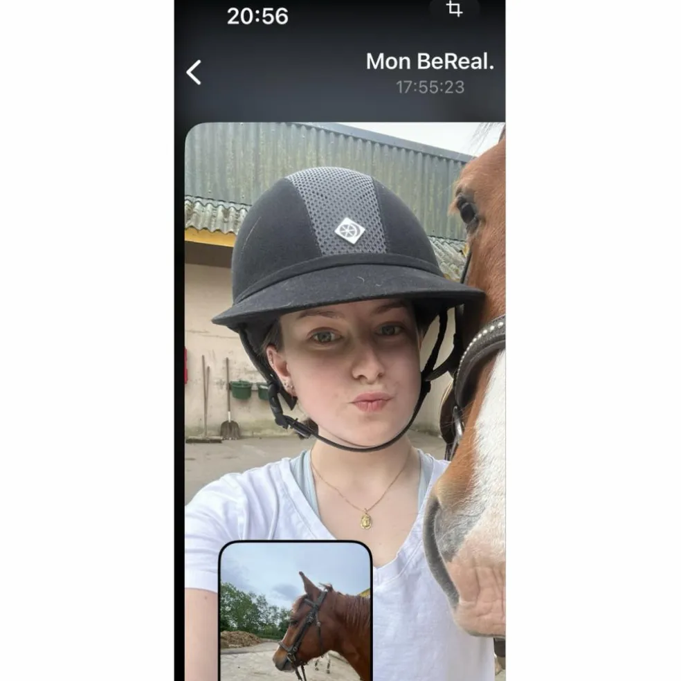 casque Charles owen
