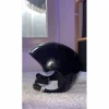 Casque NACA