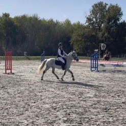 Casque équitation