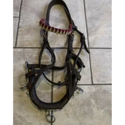 Caveçon en cuir