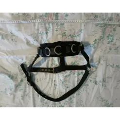 Caveçon taille Cob