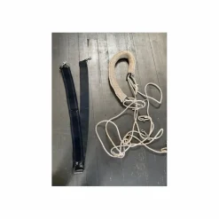 Ceinture de longe élastique cheval