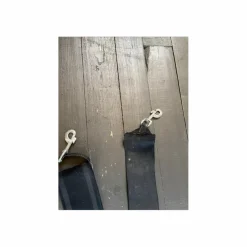 Ceinture de longe élastique cheval