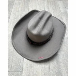 Chapeau western