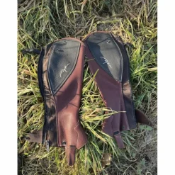 Chaps Dyon