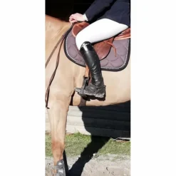 Chaps dyon