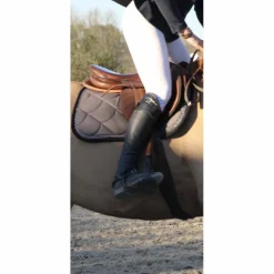Chaps dyon