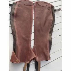 Chaps dyon