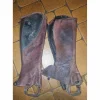 Chaps dyon