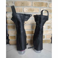 Chaps Dyon standard