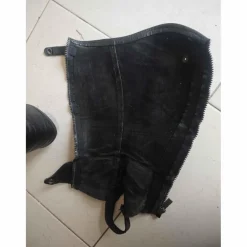 Chaps Dyon standard