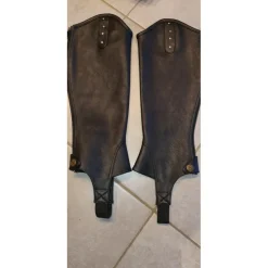 Chaps Norton neuves