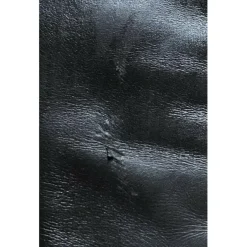 Chaps Parlanti Xs+
