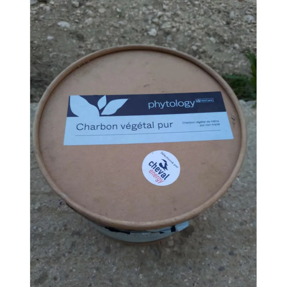 Charbon végétal