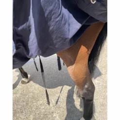 chemise equitheme peu utilisée (2 mois) très bon état taille 7 (165 cm)