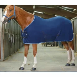 Chemise polaire