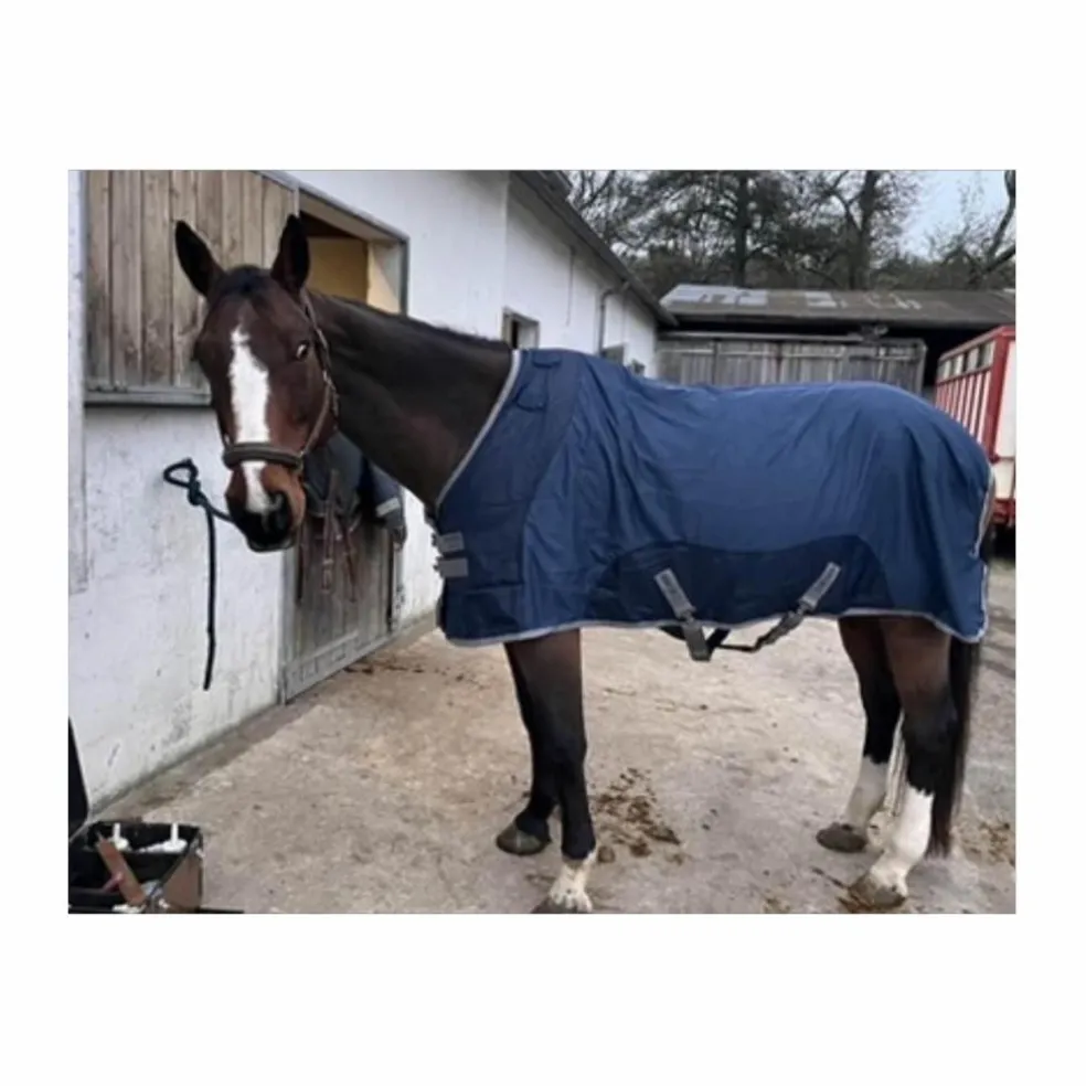 chemise séchante Ionic Horseware