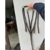 Colier de chasse + martingale