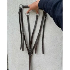 Colier de chasse + martingale
