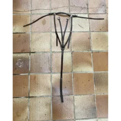 Colier de chasse + martingale