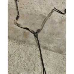 Colier de chasse avec martingale