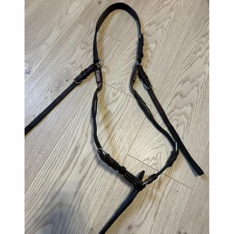 Collier chasse + martingale CWD
