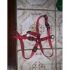Collier chien