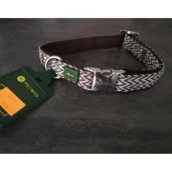 Collier chien Hunter