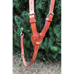 Collier de chase + Martingale