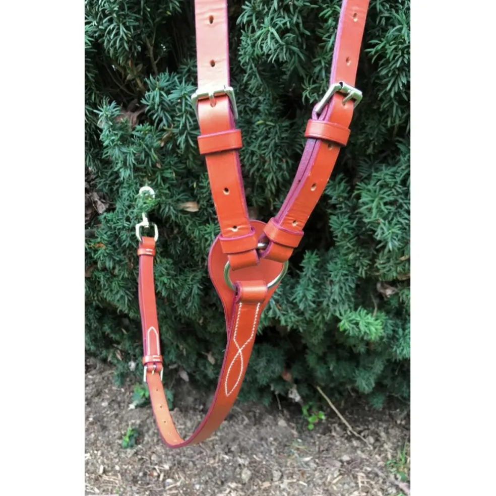 Collier de chase + Martingale