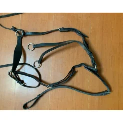 collier de chasse