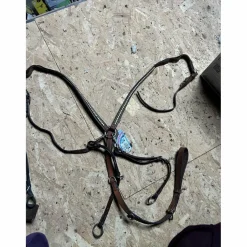 collier de chasse