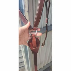 collier de chasse