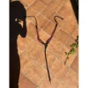 Collier de chasse