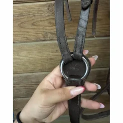 Collier de Chasse