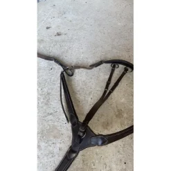 Collier de chasse